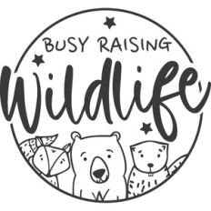 Busy Raising Wildlife