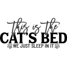 This Is The Cat's Bed We Just Sleep In It