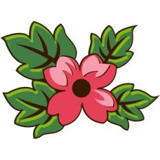 Flower and Leaves