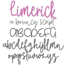 ZP Limerick