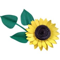 Realistic Sunflower 3