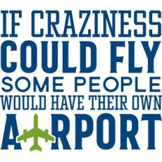 Crazy Could Fly