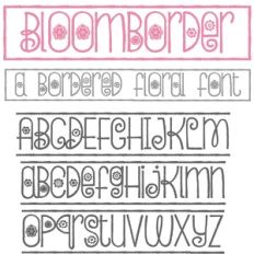 PN Bloomborder