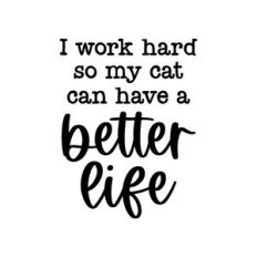 i work hard so my cat can have a better life