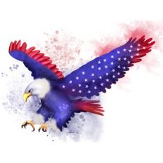 American Eagle Sublimation Design