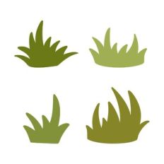 Grass
