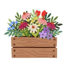 Flower Planter Box