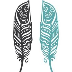 Feathers