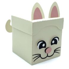 cat box