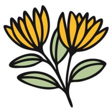 Flower Lattice