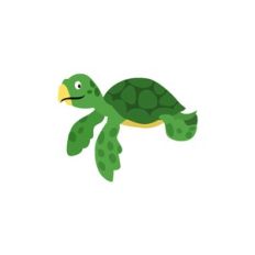 Sea Turtle
