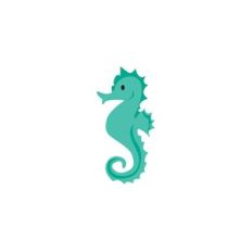 Seahorse