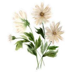 Abstract Watercolor Daisy Flowers Print and Cut