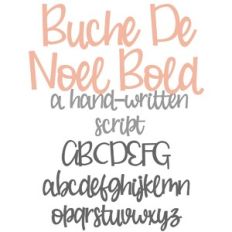 PN Buche De Noel Bold