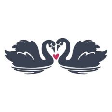 Swan Couple