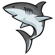 Shark