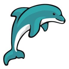 Dolphin