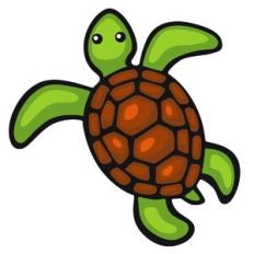 Sea Turtle