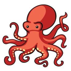 Octopus