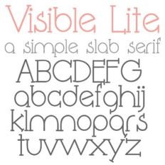 PN Visible Lite