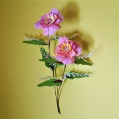 Ukrainian Folk Flower