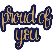 proud of you
