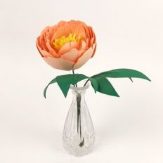 Peony Flower