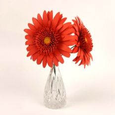 Gerbera Flower