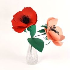 Anemone Flower
