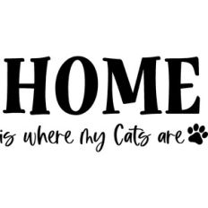 Home Is Where My Cats Are