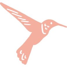 Hummingbird