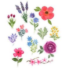 Watercolor Flowers Collection Print and Cut