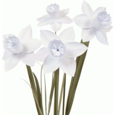 3d daffodil
