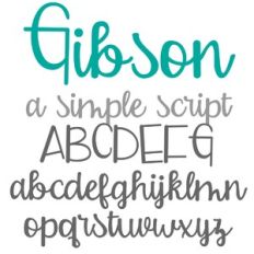 PN Gibson