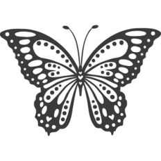Butterfly With Hearts