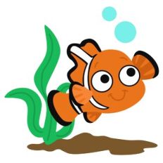 Clown Fish