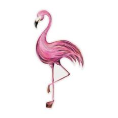 Watercolor flamingo