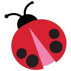 Ladybug