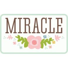 echo park miracle