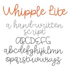 PN Whipple Lite
