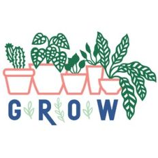 Grow house plants in pots