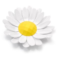 Large Daisy
