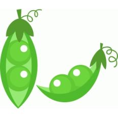 2 peas in a pod