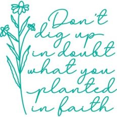 Planted in Faith
