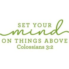 Set Your Mind