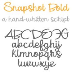 PN Snapshot Bold