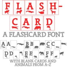ZP Flashcard
