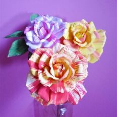 Hybrid Tea Rose