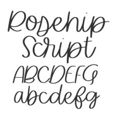 BFC Rosehip Script Cursive Font
