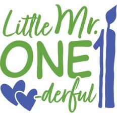 Mr Onederful